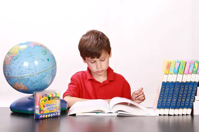 primeproductshub-com-best-homeschooling-resources Best homeschooling resources to help you get started